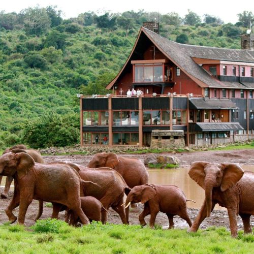 Aberdare National Park