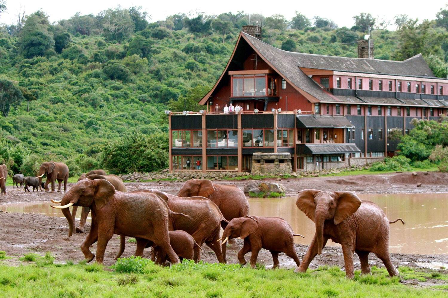 Aberdare National Park