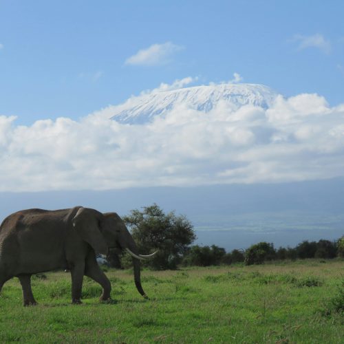 Amboseli National Park