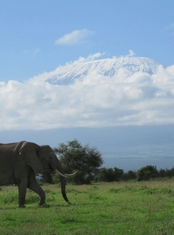 Amboseli National Park