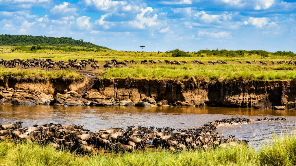 16 Days Discover Kenya & Tanzania Safari