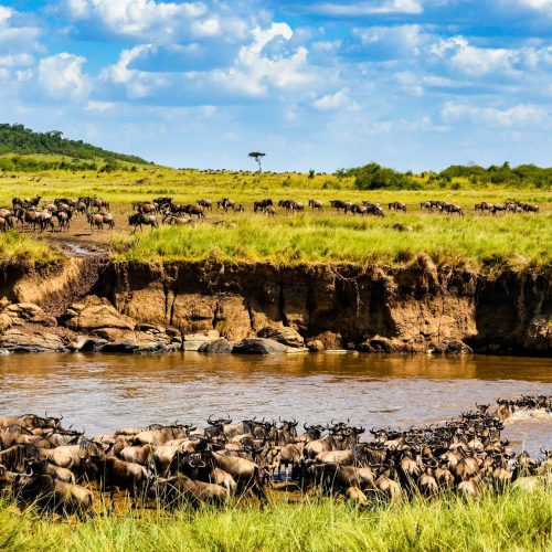 16 Days Discover Kenya & Tanzania Safari
