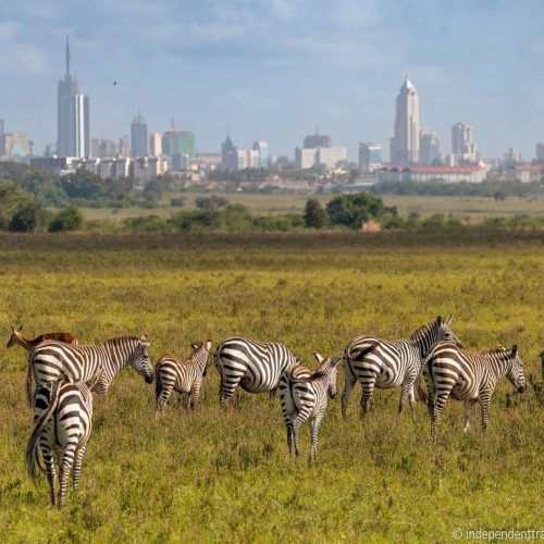 Nairobi National Park