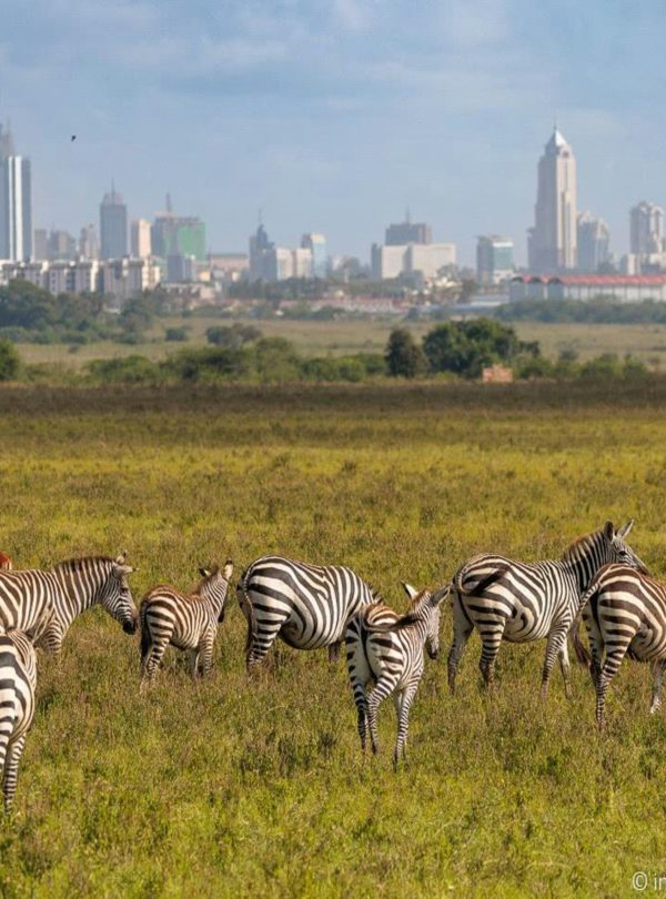 Nairobi National Park
