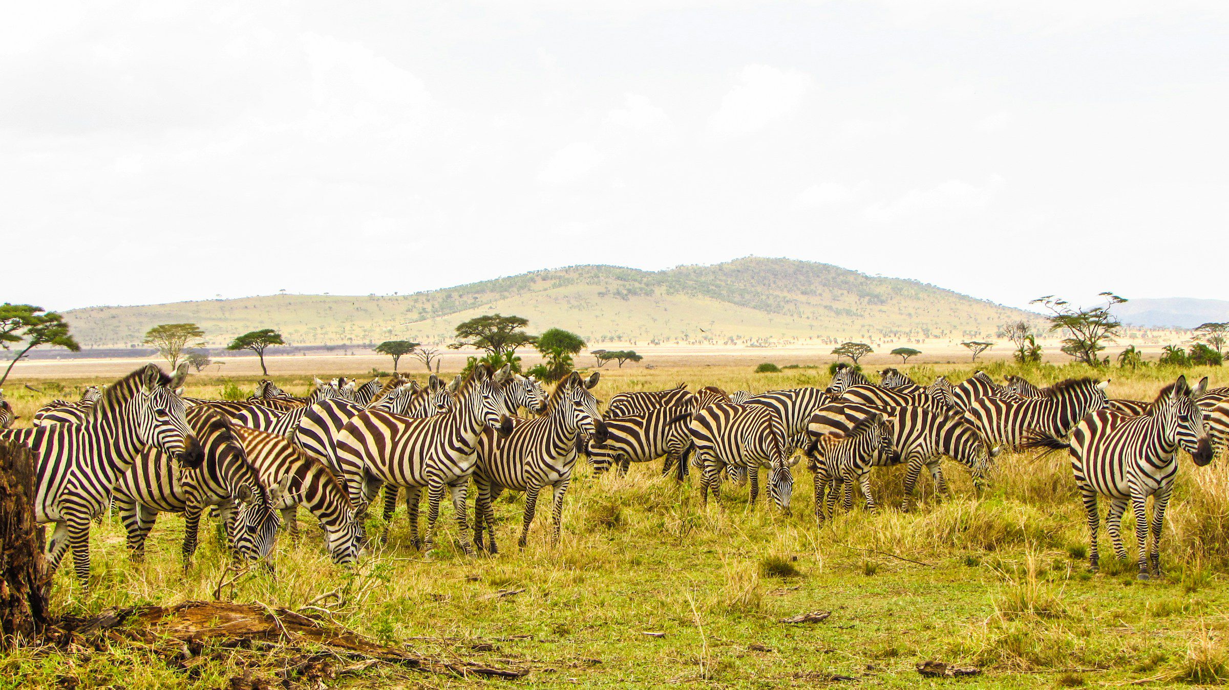 Nairobi → Nakuru → Naivasha → Maasai Mara → Nairobi