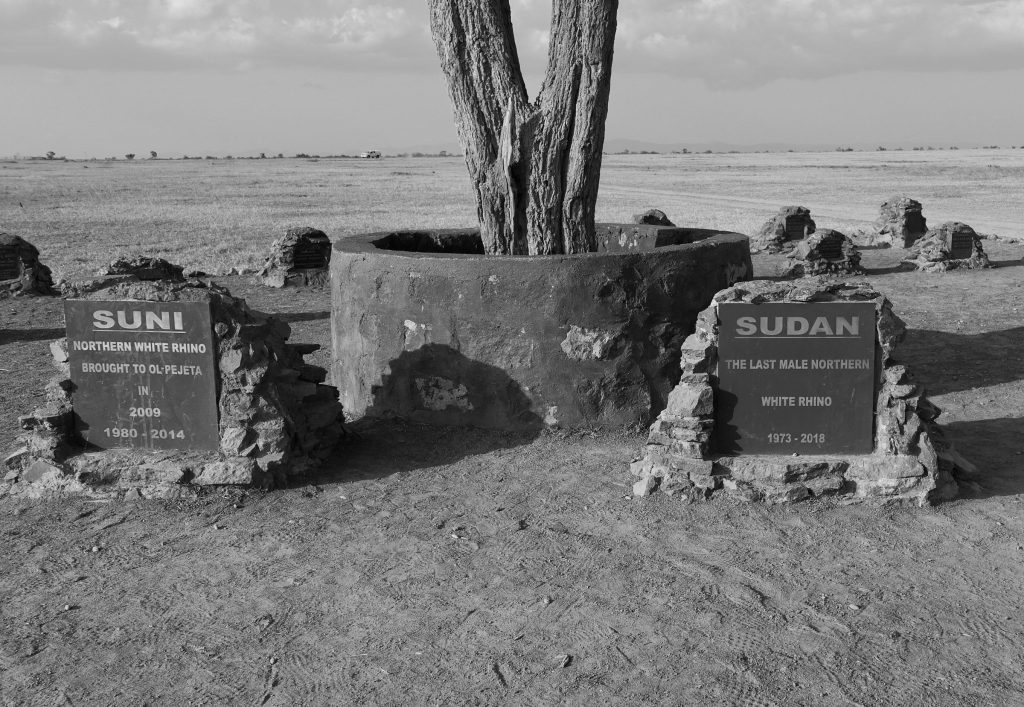 Ol Pejeta Conservancy
