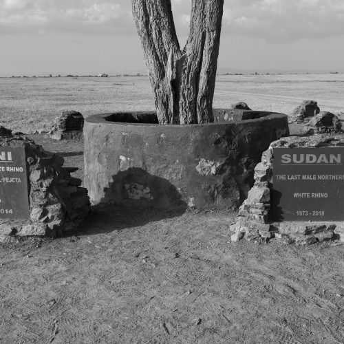 Ol Pejeta Conservancy