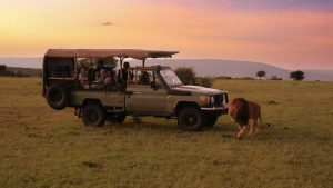 Samburu- Aberdare-Lake-Nakuru-Mara-Safari