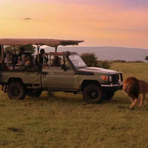 Samburu- Aberdare-Lake-Nakuru-Mara-Safari