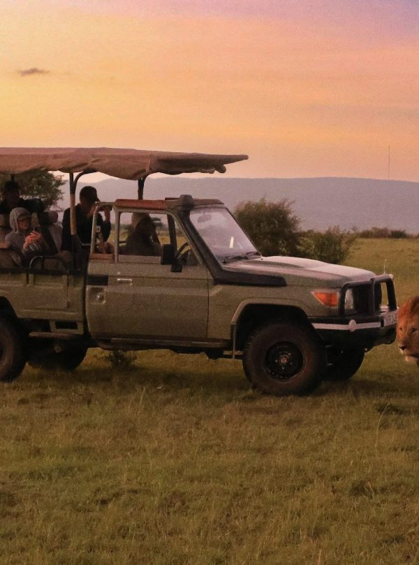 Samburu- Aberdare-Lake-Nakuru-Mara-Safari