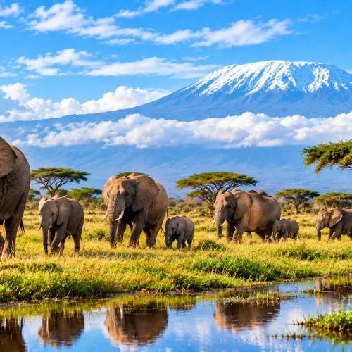 Discover Amboseli National Park