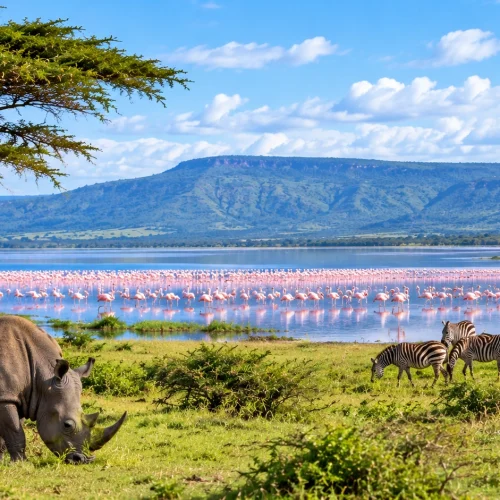 Lake Nakuru National Park